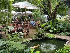 -Fern Forest Cafe