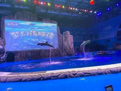 -华夏文旅海洋公园