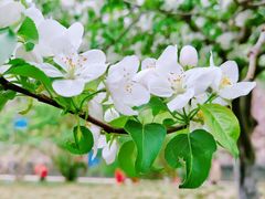 -元大都城垣遗址公园