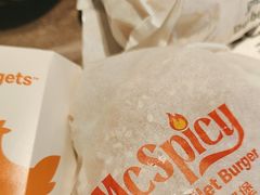 -麦当劳(国家体育场南路店)