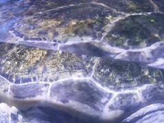-秦皇岛新澳海底世界