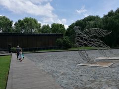 -同里国家湿地公园