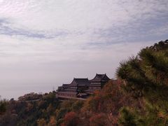 -石老人观光园