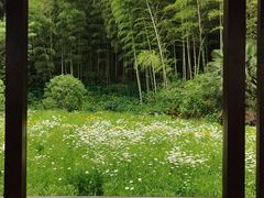 -兰亭风景区
