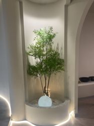 -VE专注问题肌·赛诺龙&科学美肤中心