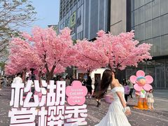 -东莞松山湖万象汇