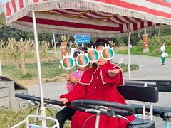 -白鹭湾湿地公园