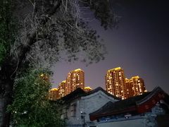 -天津大悲禅院