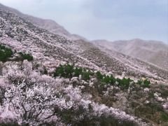 -北京凤凰岭