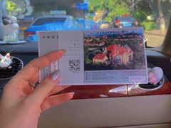 -青岛德国总督楼旧址博物馆