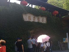 -藏龙百瀑风景区