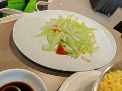 -丁老爷子苏香圆