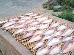-农垦当壁镇兴凯湖旅游度假区