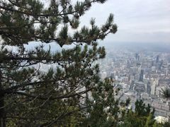 -兰山公园