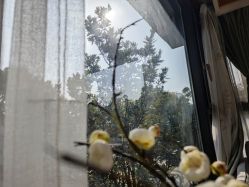 -莲生母婴月子中心(清水河公园店)