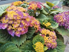 -中国工商银行(上海市徐汇支行华山路支行)