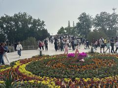 -赵州桥景区