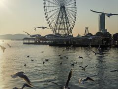 -蠡湖大桥公园