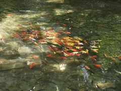 -水磨沟公园