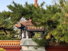 -戏马台景区
