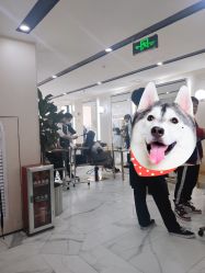 点击看大图 -3AM HAIR SALON染发接发