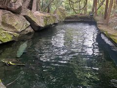 -青青世界