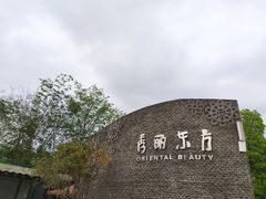 -秀丽东方