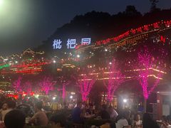 -枇杷园食为鲜火锅(南山店)