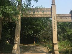 -雨花胜境