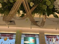 -Aqua Oasis 水天堂(太湖中心mall店)