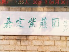 -嘉定紫藤园