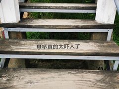 -石老人观光园