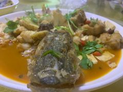 -煲来饱去冷水鱼