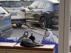 -芭比堂动物医院·CT·微创中心(新顺分院)