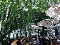 -Fern Forest Cafe