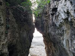 -鹅銮鼻公园