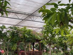 -南宫五洲植物乐园