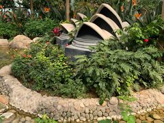 -南宫五洲植物乐园