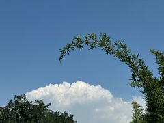 -树山生态村