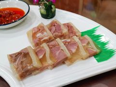 -椿不老