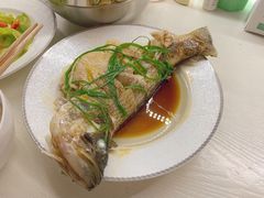 -田螺阿姨自营月嫂·育儿嫂(高新店)