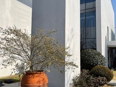 -逸林轩中餐厅(中信泰富朱家角锦江酒店)