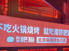 -南锣肥猫·麻辣烤鱼·16年现烤现卖(财富购物中心店)