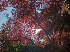 -崂山九水游览区