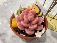 -哈根达斯(大悦城店)