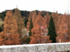 -神户市立六甲山牧场