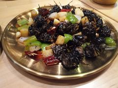 大叔秘制知了-我是那个大叔·美食研究所(新塘路店)