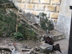 -捷克克鲁姆洛夫城堡