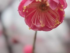 -白塘生态植物园