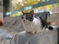 -畜牧兽医站(共江路店)